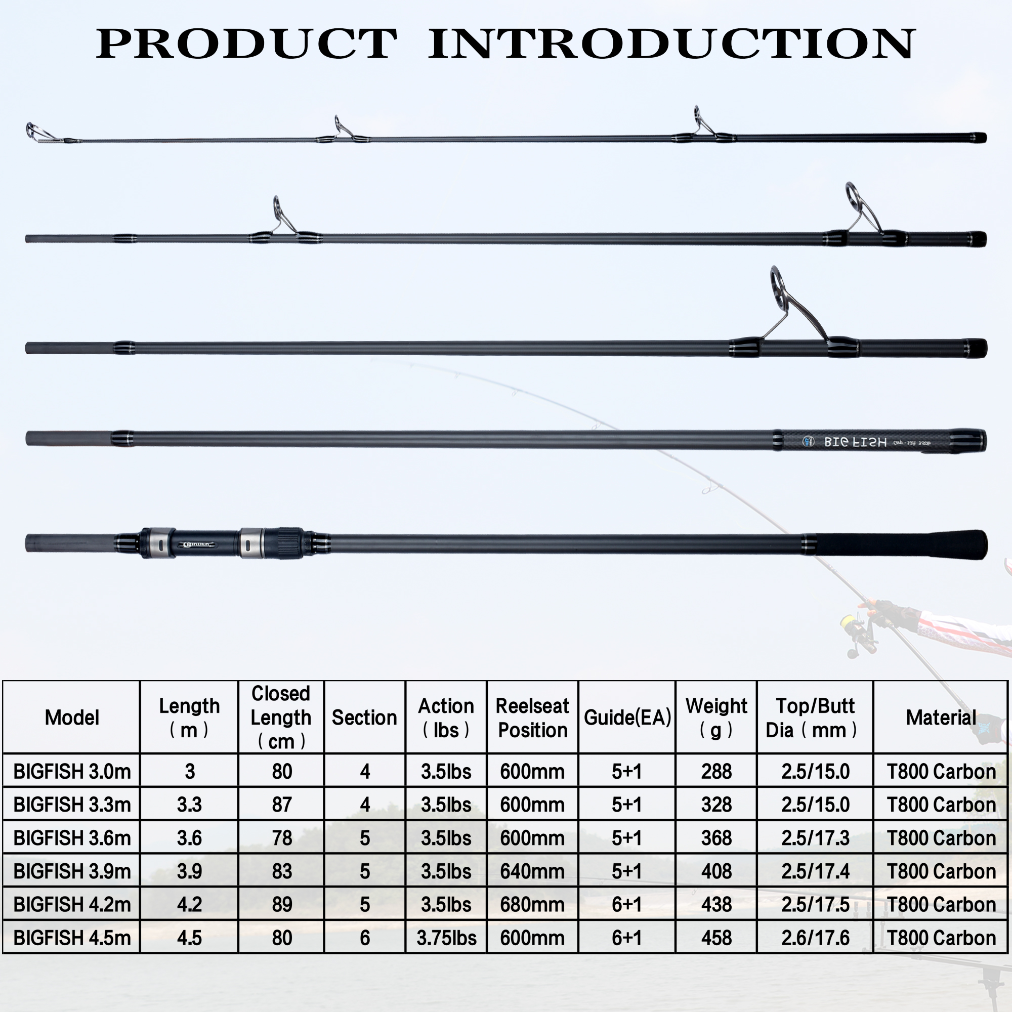 BIUTIFU BIGFISH Carp Surfcasti - Fishing Rod Surf のレビューと価格